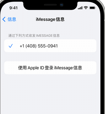 献县apple维修iPhone上无法正常发送iMessage信息