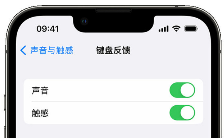 献县苹果手机维修分享iPhone 14触感键盘使用方法 