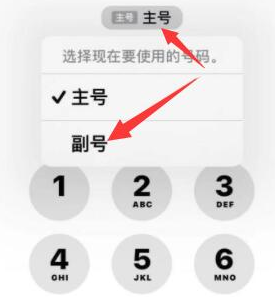 献县苹果14维修店分享iPhone 14 Pro Max使用副卡打电话的方法 