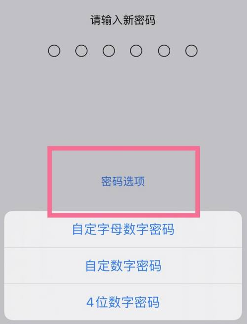 献县苹果14维修分享iPhone 14plus设置密码的方法 