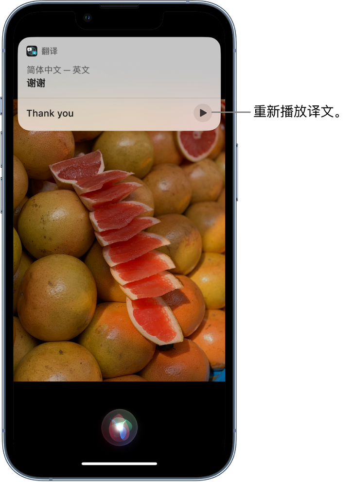 献县苹果14维修分享 iPhone 14 机型中使用 Siri：了解 Siri 能帮你做什么 