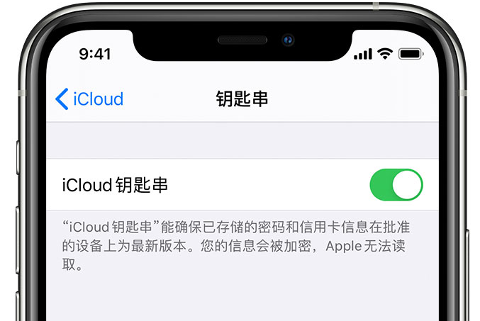 献县苹果手机维修分享在 iPhone 上开启 iCloud 钥匙串之后会储存哪些信息 