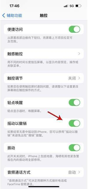 献县苹果手机维修分享iPhone手机如何设置摇一摇删除文字 