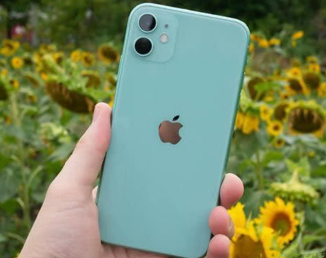 献县苹果维修点分享iPhone 11锁屏密码认知与使用科普 