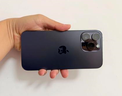 献县苹果维修点分享iPhone 14 Pro Max发烫多重诱因剖析 